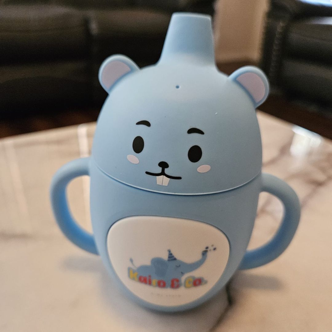 Kairo Kids Co. Cartoon Sippy cups