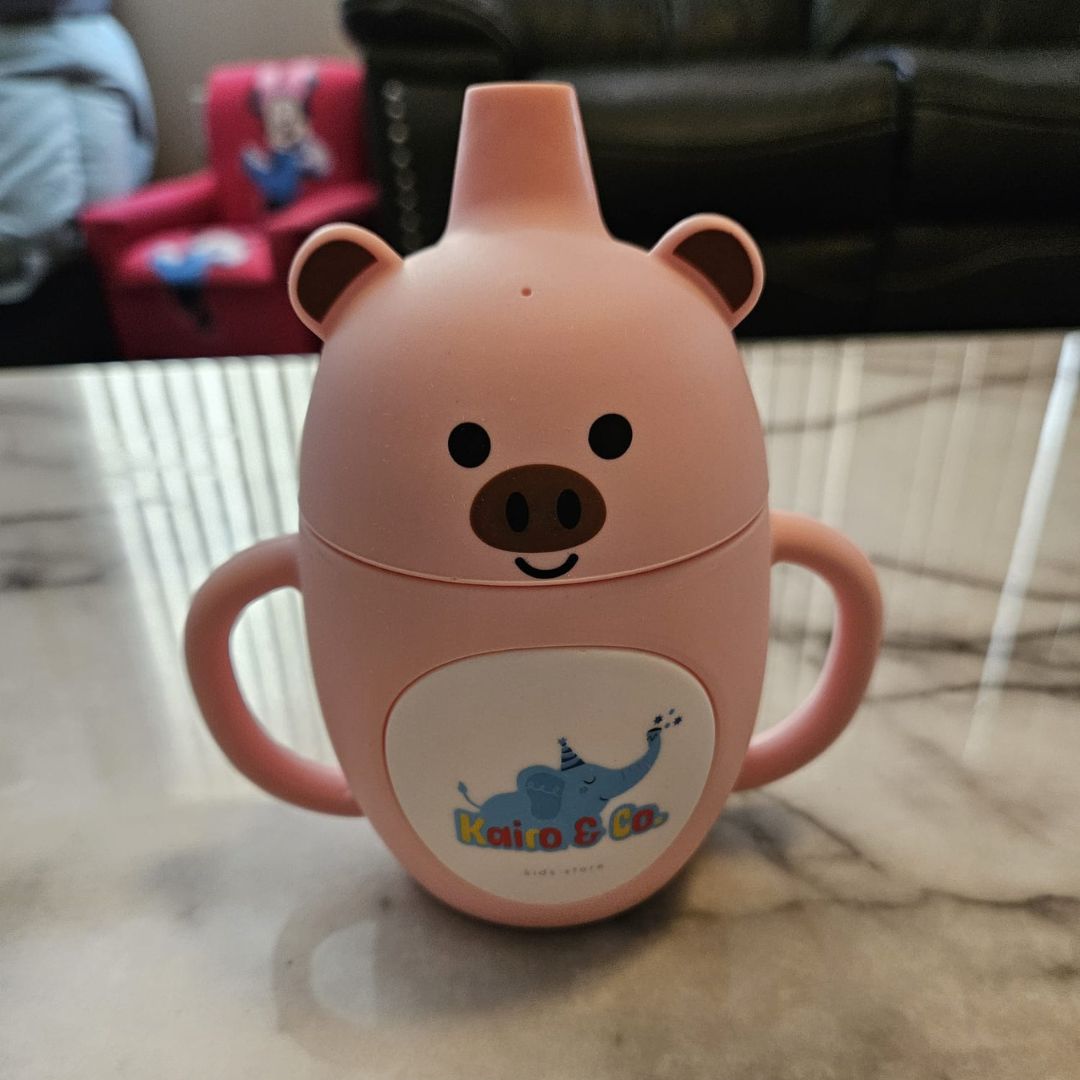 Kairo Kids Co. Cartoon Sippy cups